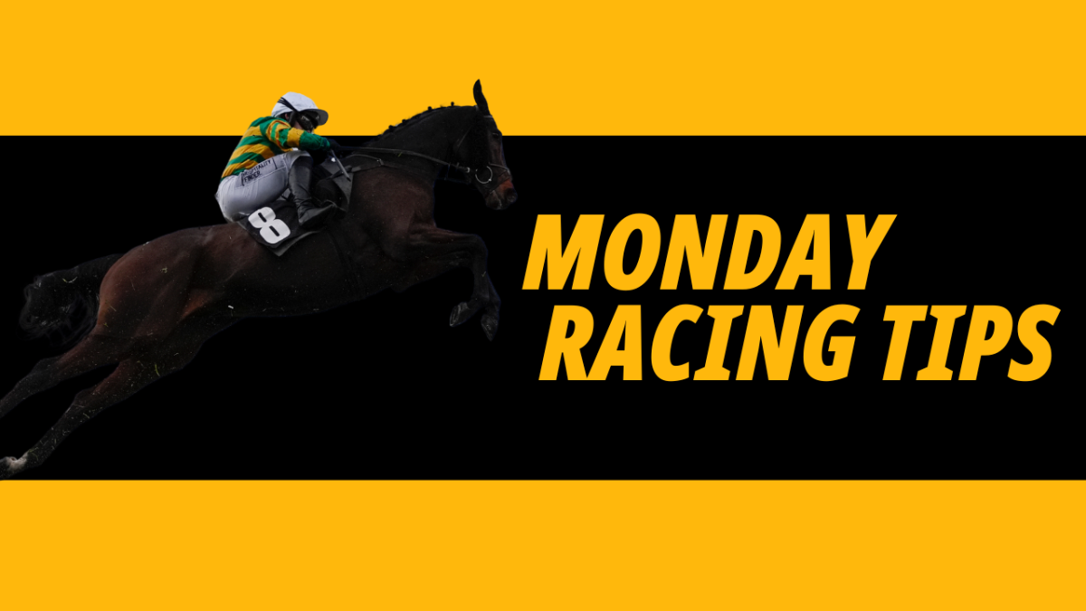 Monday Racing Tips: Key Timeform data including a 'large P' Horse In Focus at Hereford